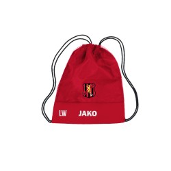 Gymsack Team 2.0 rot
